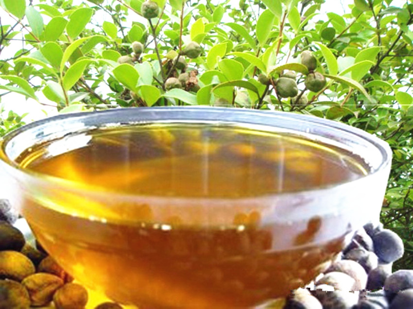 鲜为人知的野山茶油九大用途